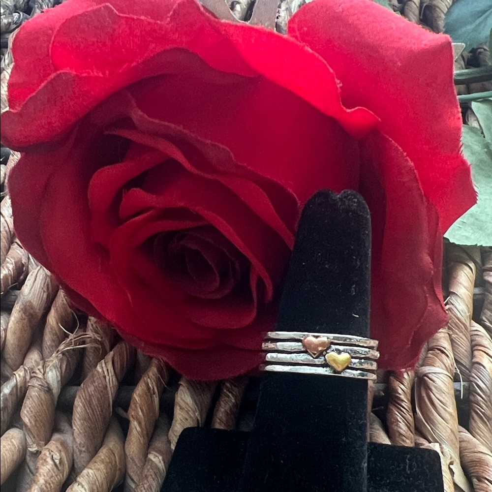 Elegant Heart Ring Set in Silver and Gold Tone